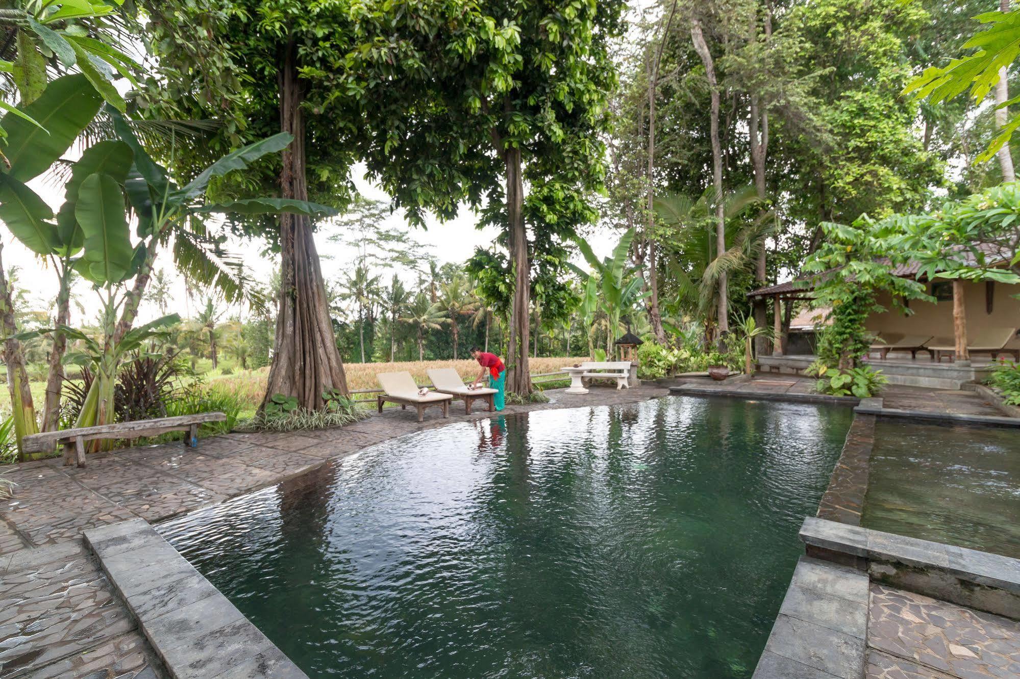 Umasari Rice Terrace Villa Tabanan  Exterior photo